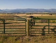 livestock gate