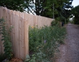 cedar privacy fencing